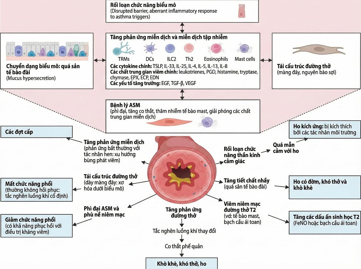 Liệu pháp sinh học: Bước tiến mới trong điều trị hen nặng